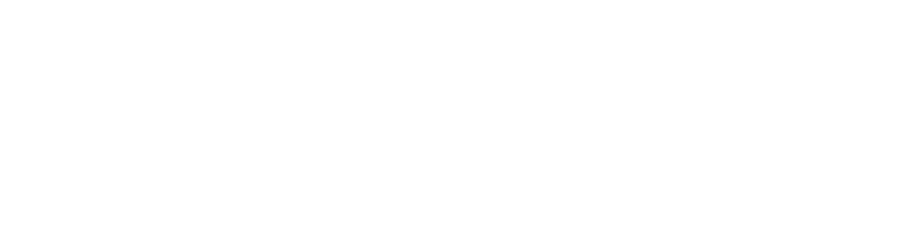 Mecad LTD